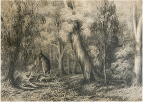 Native Hunting Kangaroo c 1855
