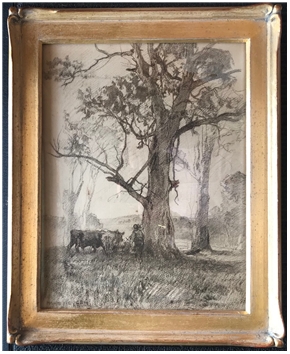 Cattle Resting under the Gum Tree