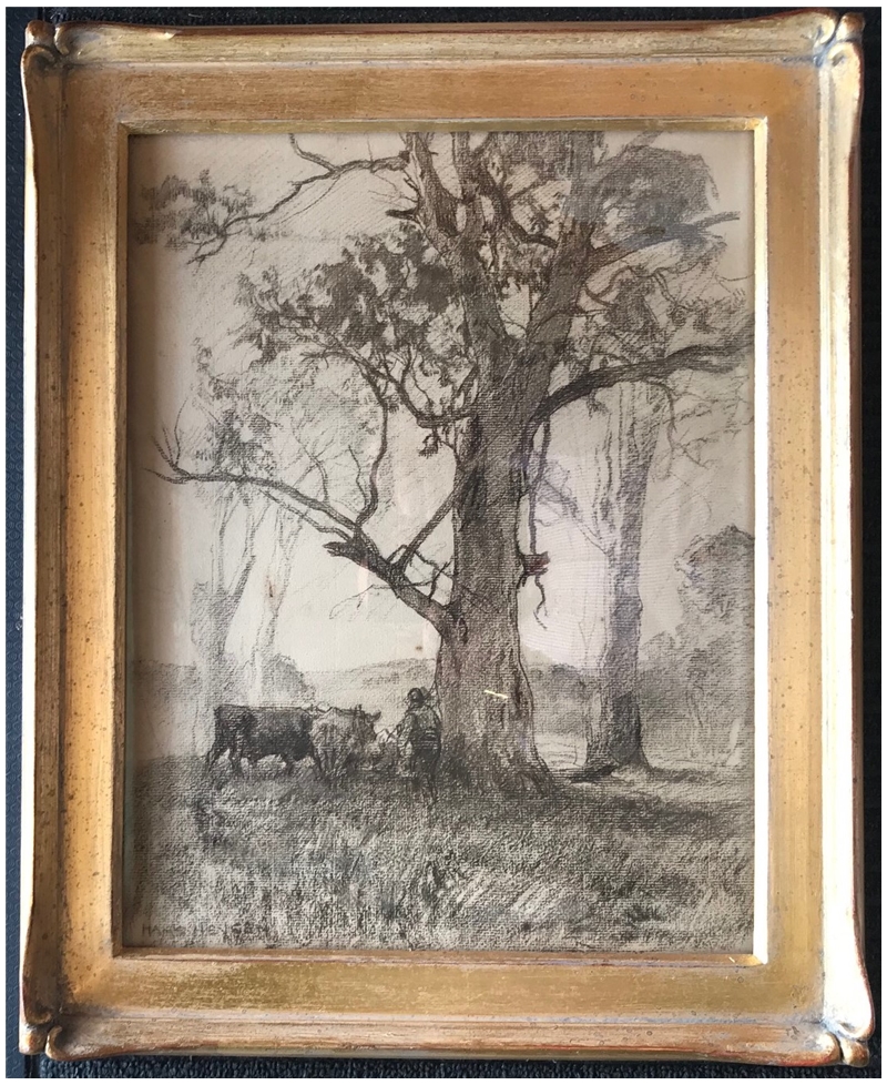 Cattle Resting under the Gum Tree